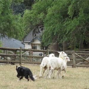 Meet your Posher, Jo